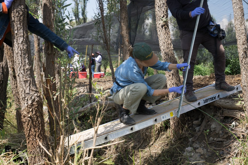 This image has an empty alt attribute; its file name is dsc01930.jpg